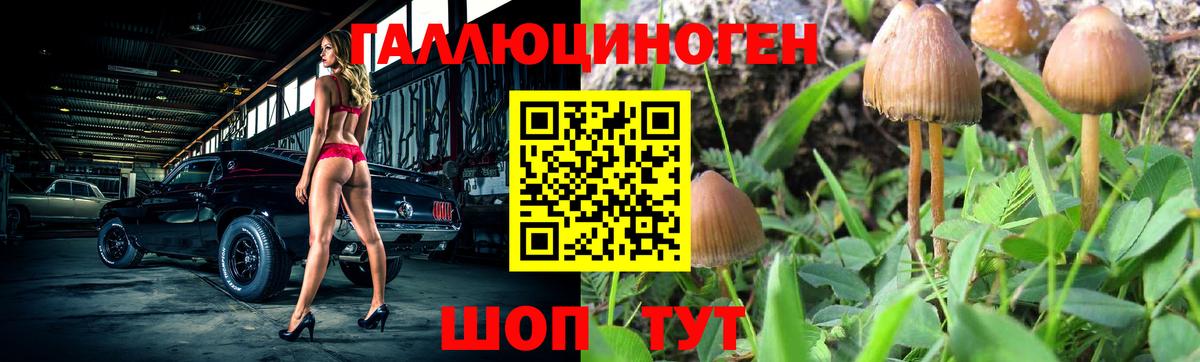 Псилоцибиновые грибы Magic Shrooms  Галлюциногенные грибы Psilocybine cubensis  Вход с VPN  Новомосковск 