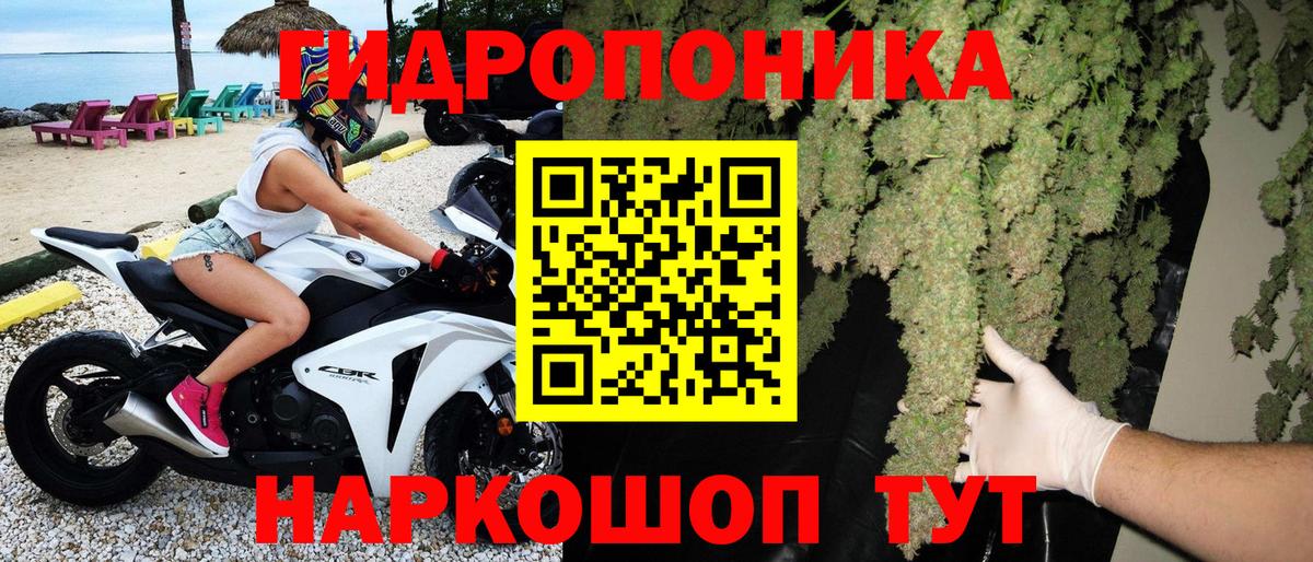 Бошки Шишки план Новомосковск